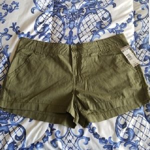 No boundaries shorts